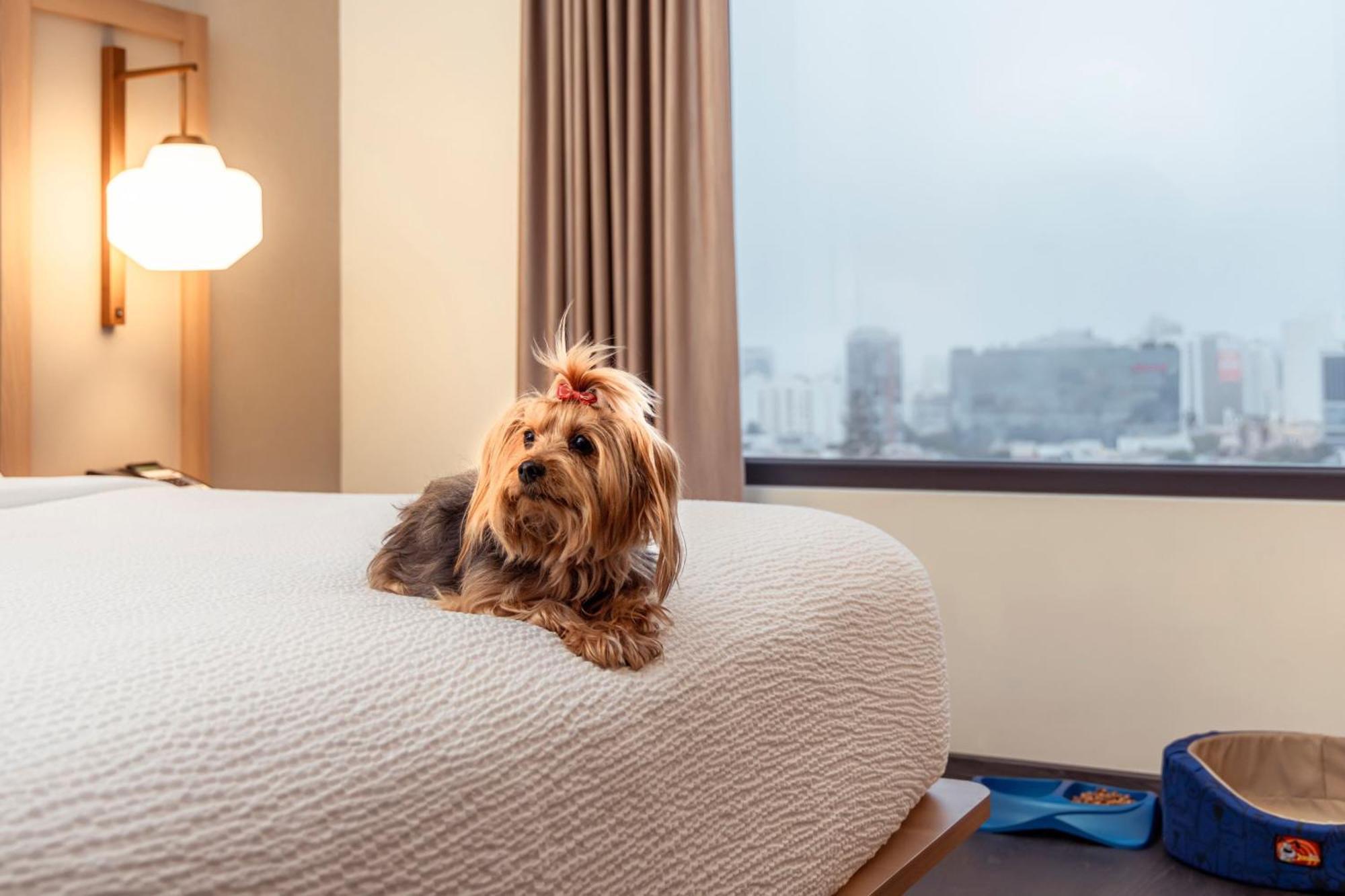 Fairfield By Marriott Lima Miraflores Exterior photo